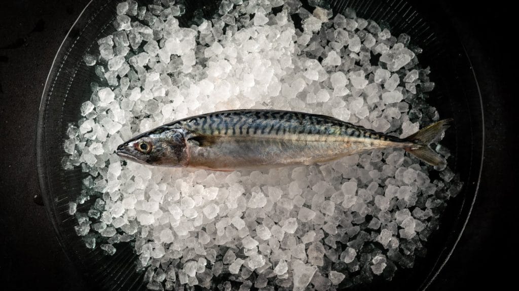 isflak fisk kjøleprodukt storkjøkkenutstyr