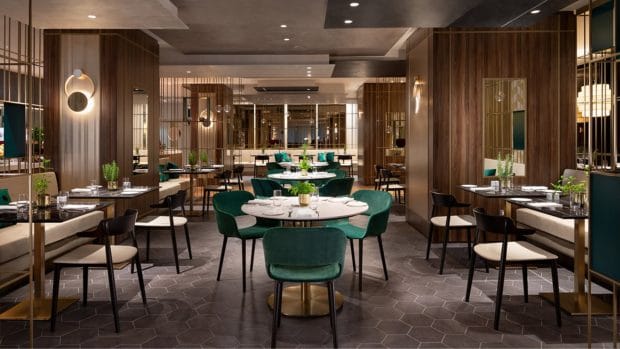 pedrali restaurant restaurantmøbler restaurantstoler