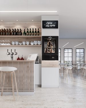 Dry Ager skap, Kjøtt, Lite enkel 150 ltr. Sort, Glass, Green, 230V Dry Ager / Mørningsskap